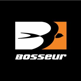 Bosseur
